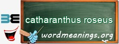 WordMeaning blackboard for catharanthus roseus